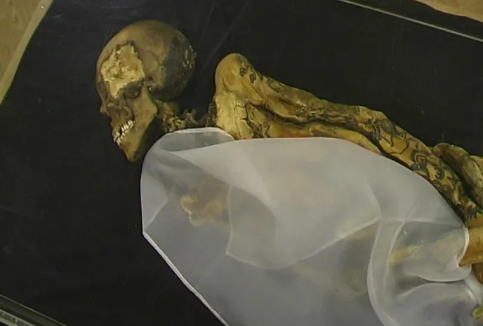 Mummy of the Ukok Princess/Siberian Ice Maiden. Tattoos line her arms. (Wikimedia Commons)