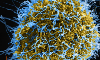 ‘Drastic Action’ Needed to Stop Ebola Outbreak (Video)