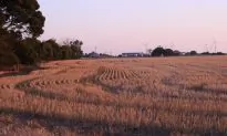 A Case of Nostalgia on Yorke Peninsula
