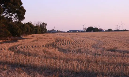 A Case of Nostalgia on Yorke Peninsula