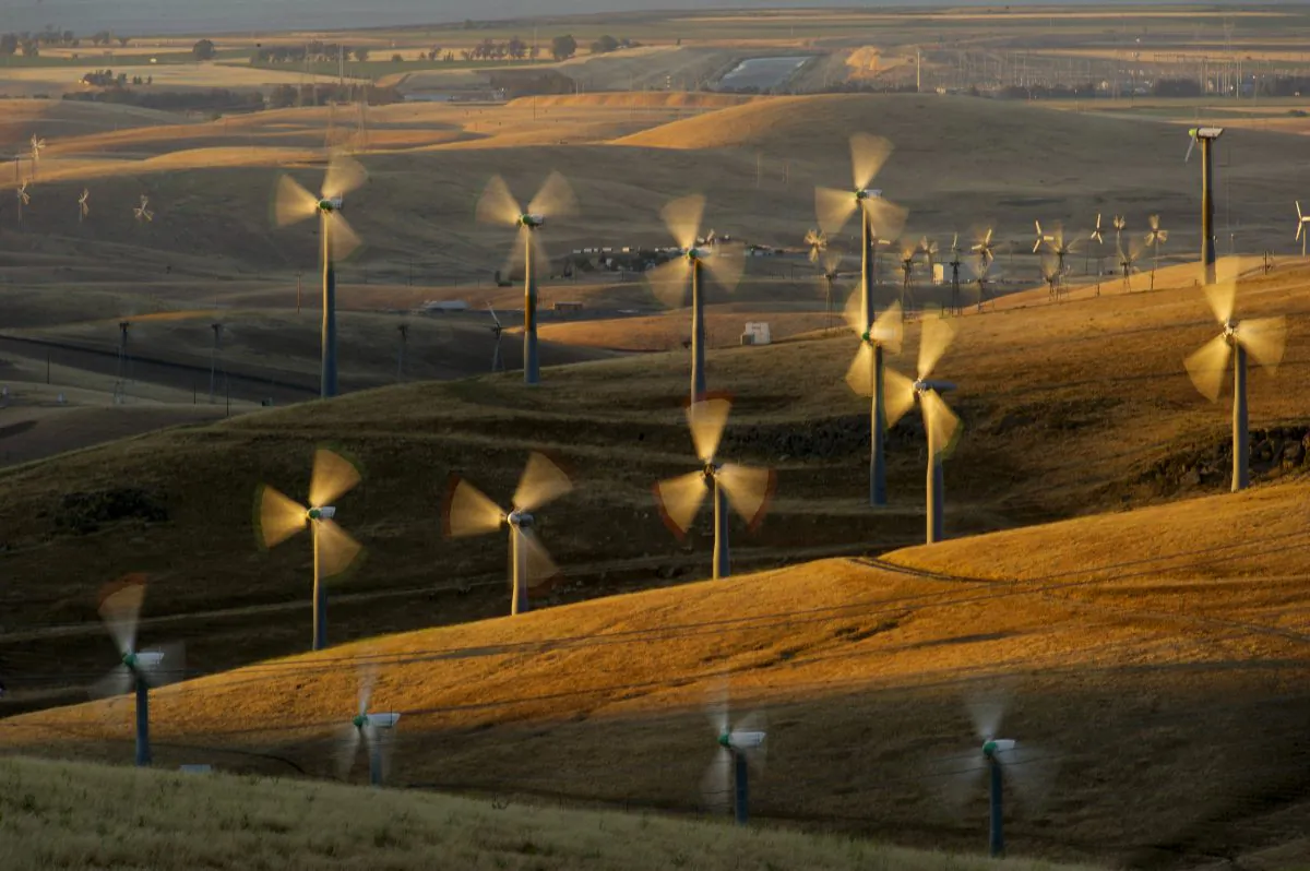 Wind turbines line the Altamont Pass near Livermore, Calif., on May 12, 2013. (AP Photo/Noah Berger)