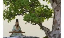 Chinese Idiom: Playing the Qin to a Cow