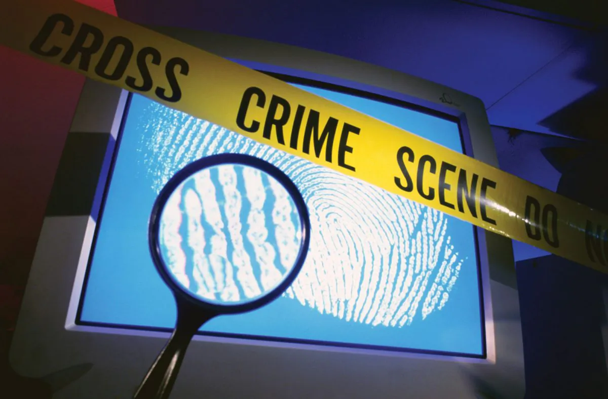 Trinidad cybercrime article