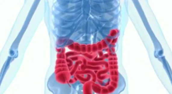 10 Bodily Functions That Keep Working After Death (Video)