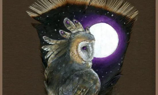 Mystical and Magical, This Feather Art Will Carry You to Another World (Photo Gallery)
