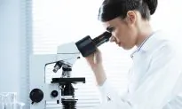 A New Understanding of the Cause of Cancer