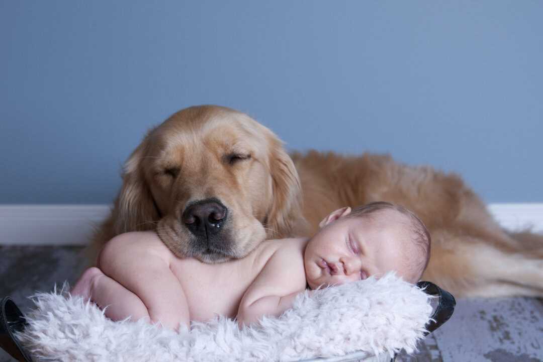 Researchers found that infants in homes with a greater variety of bacteria were less likely to develop environmental allergies and wheezing at age 3. (Steven Vandervelde/thinkstock)