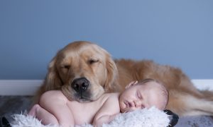 Dirt Good for Infant Immune Systems