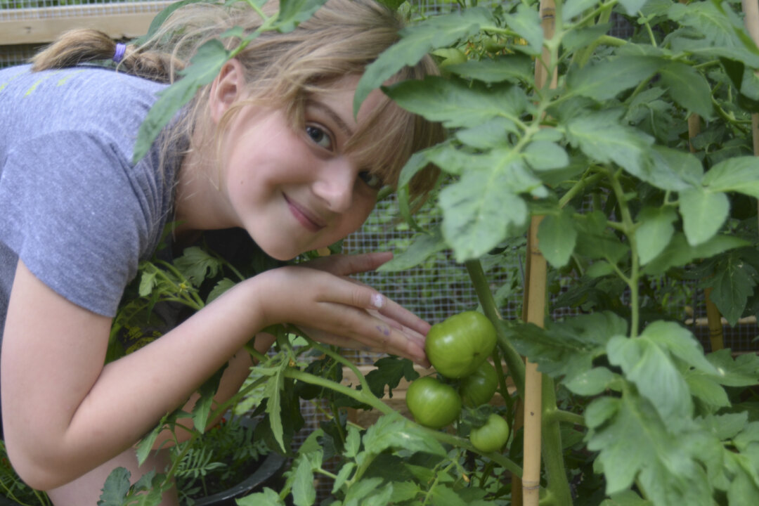 A two-year Cornell University in New York state found that children at schools with gardens were more physically active at school. (Keith Levit/thinkstock)