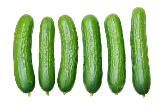 (Shutterstock*)