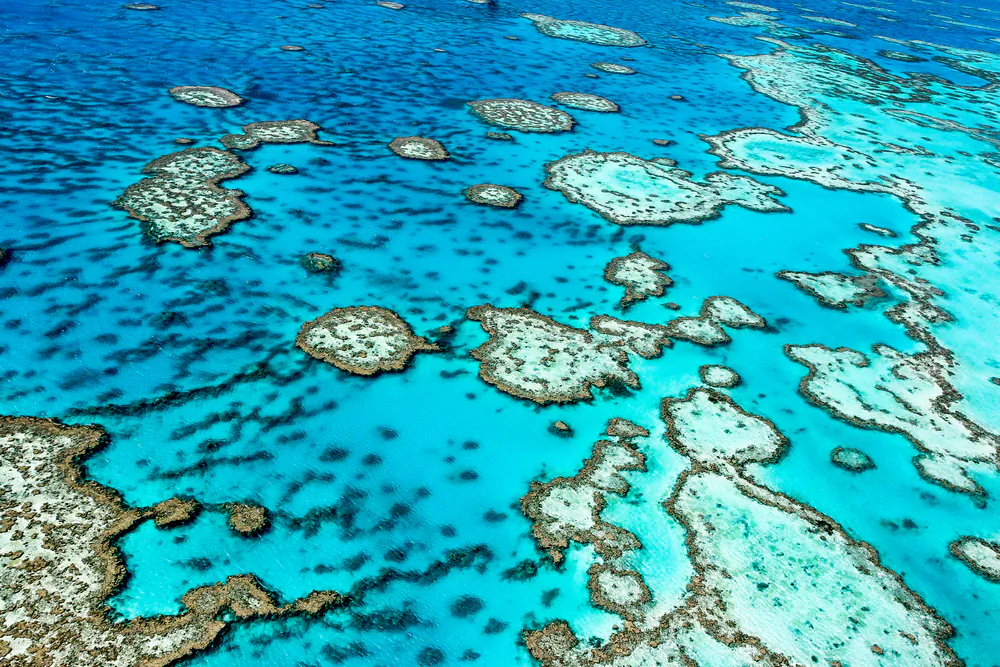The Great Barrier Reef in Queensland, Australia. (Shutterstock)
