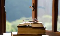 Study: An Intellectual Life Could Protect Against Dementia (Video)