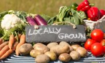 Why Local, Organic, In-Season Food Is the Right Choice