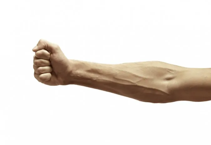 As they transport blood against the force of gravity, veins require special mechanisms to ensure that blood doesn’t flow backwards. (Shutterstock*)