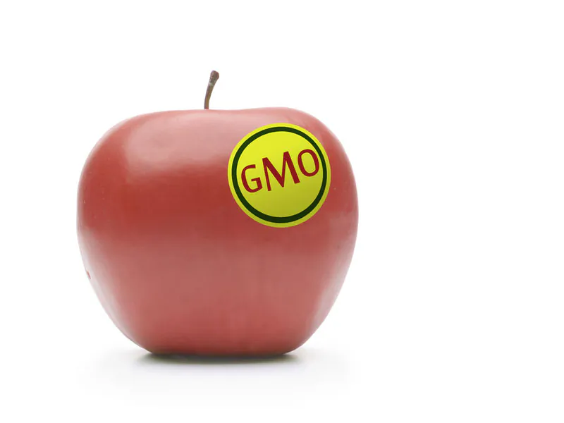 (Shutterstock*)