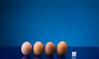 The Balanced Blood Sugar Solution (Video)