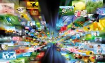 DVD vs. Video Streaming: Which Wastes More Energy?