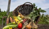 Are Organics Really Better?