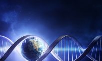 DNA From GMOs Can Pass Directly Into Humans