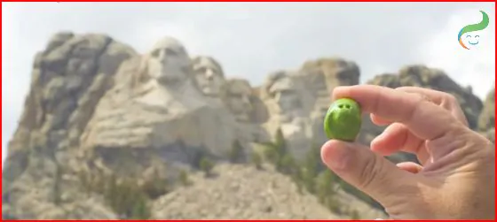 Give Someone a Smile Today! (Video)