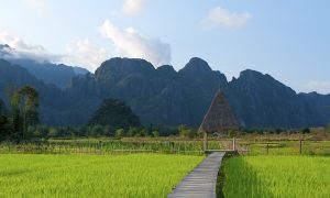 Magical Thailand: A Journey Through Food