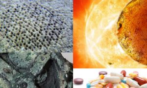 10 Discoveries Unexplained by Science: Mysterious Fossils, Humming, and More (+Video)