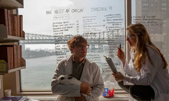 Popcorn and Inspiration: ‘I Origins’: Sci-Fi Reimagining of a Reincarnation Ritual