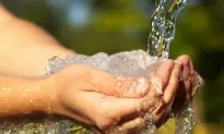 This Is Your Body Without Water (Infographic)