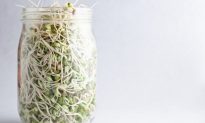 5 Reasons for Sprouting at Home