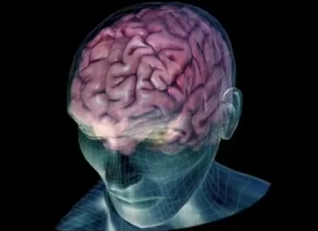 Ancient Brain Matter Possibly Found in Norway (Video)