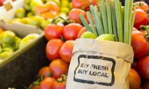 Huge New Study Proves Organic Foods are Healthier and More Nutritious