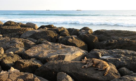 7 Headlines You Won’t Read Anywhere Else Today: July 17