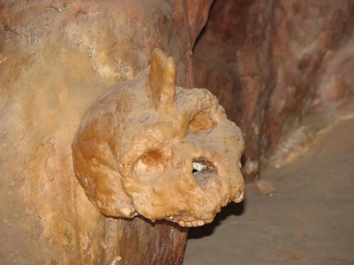 The Petralona skull, covered by stalagmite in the Petralona cave in Greece. (Wikimedia Commons)