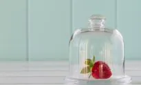 9 Natural Ways to Stop Gnats & Fruit Flies