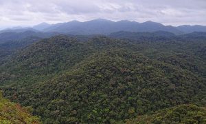 Only 15% of 35 Biodiversity Hotspots Are Untouched