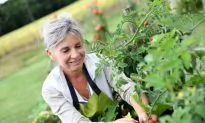 Oregon First State to Map GMO Crops
