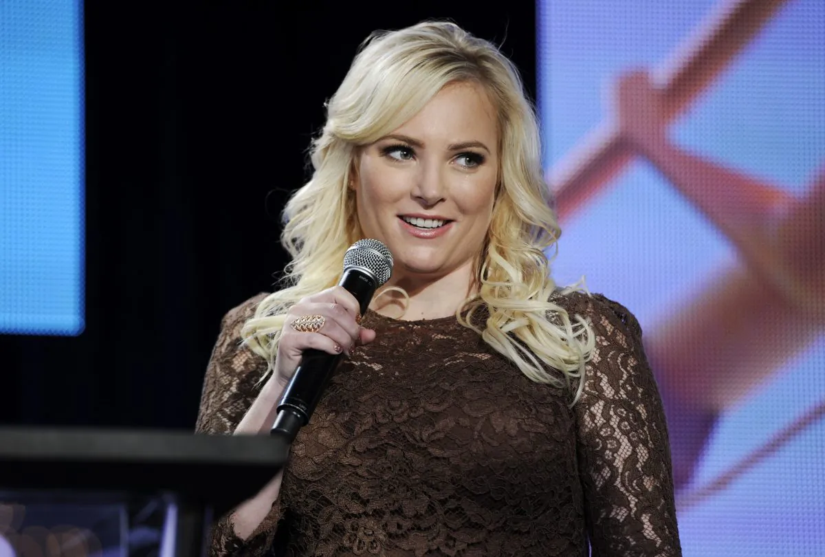 Meghan McCain, co-host of Pivot's "TakePart Live," addresses reporters during Pivot's panel at the Winter 2014 Television Critics Association Press Tour on in Pasadena, Calif. on Jan. 11, 2014. (Chris Pizzello/Invision for Participant Media/AP Images)