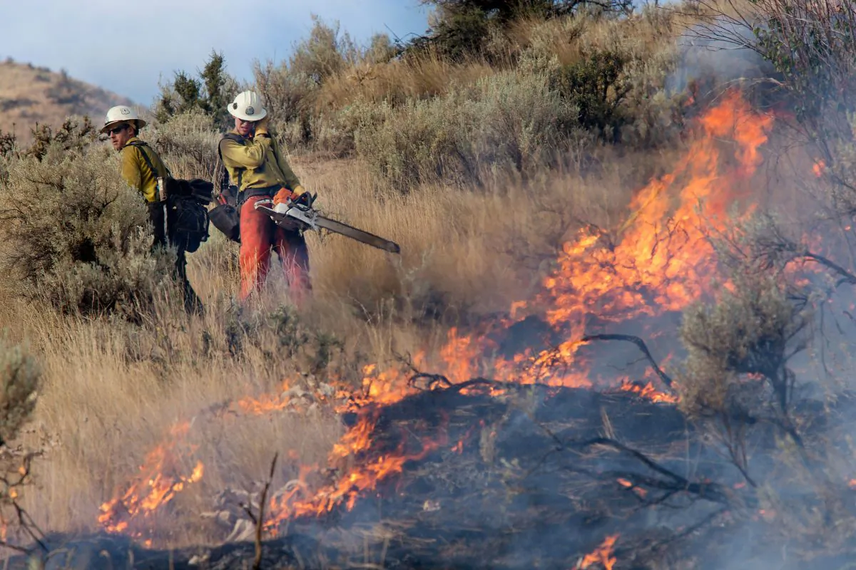 Kevin Green (L) and Brandon Scott shield themselves from the heat of a burning sagebrush as a wildfire threatens eight homes on Skyline Drive in Wenatchee, Wash., early Sunday morning, July 6, 2014. (AP Photo/The Wenatchee World, Don Seabrook)