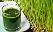 The Amazing Health Benefits of Wheatgrass Juice (Video)