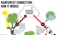 Phone Alert System Ready for Amazon Forest