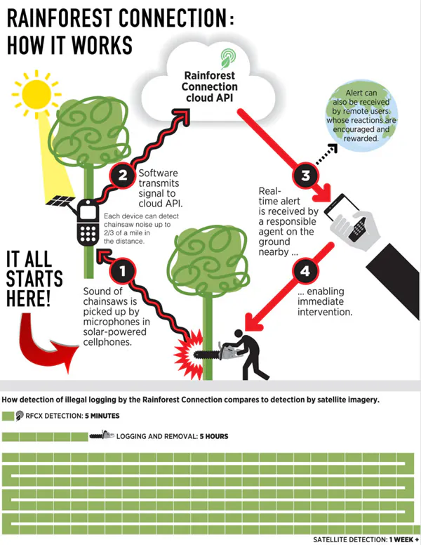 The RFCx system. (Courtesy of Rainforest Connection)