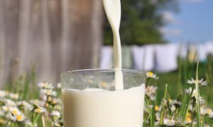 5 Reasons to Skip the Skim Milk