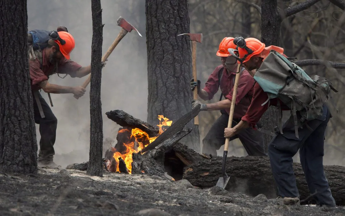 Firefighters tackle a fire in West Kelowna on July 19, 2014. (The Canadian Press/Jonathan Hayward)