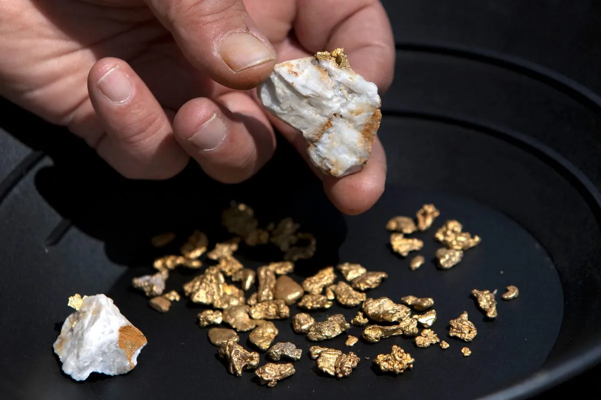 A piece of quartz with gold in Jamestown, Calif., on April 29, 2011. (David Paul Morris/Getty Images)