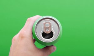 GMO Foods: The 8 Most Common (Infographic)