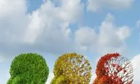 How Sugar Harms Your Brain Health and Drives Alzheimer’s Epidemic