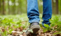 Slow Walking Speed and Memory Complaints Can Predict Dementia