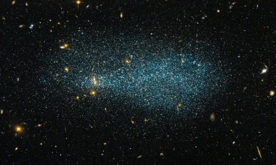 A Cosmic Two-Step: The Universal Dance of the Dwarf Galaxies