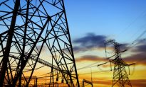 Energy Transition: The Issue of Power Grids