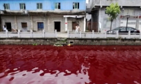Chinese River Turns Bloody Red Overnight (Video)